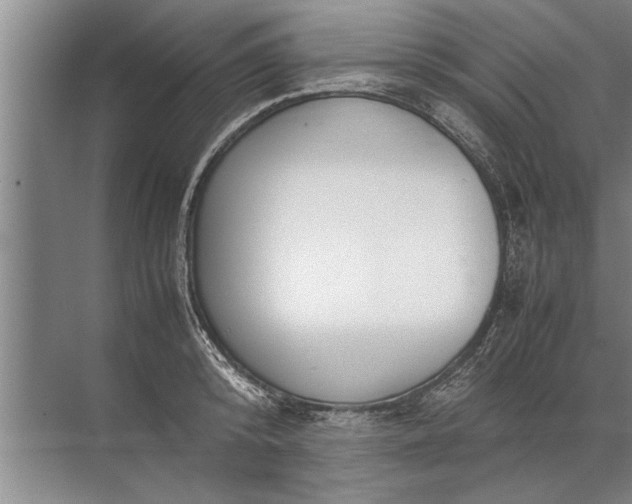 X0000072520800200607290157