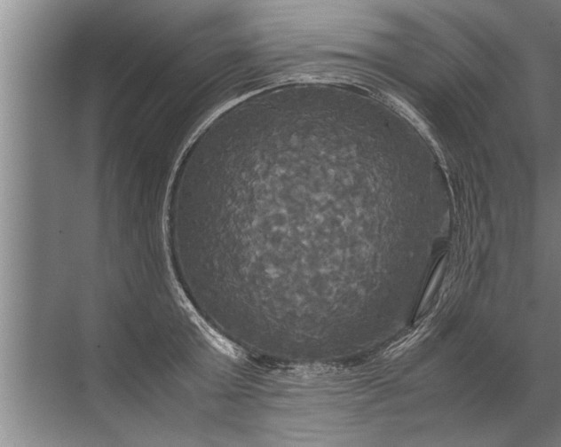 X0000072520803200607290157