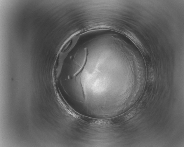 X0000072520806200607290157