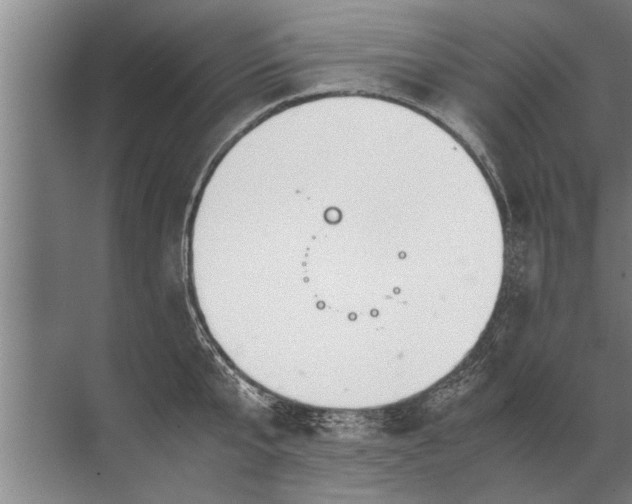 X0000072520807200607290157