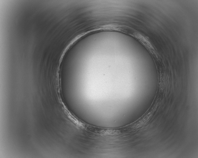 X0000072520808200607290157