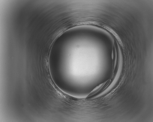 X0000072520809200607290157