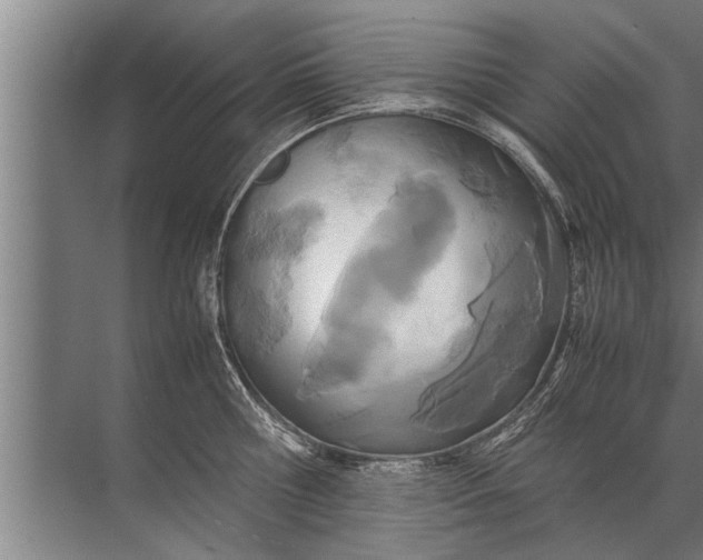 X0000072520810200607290157