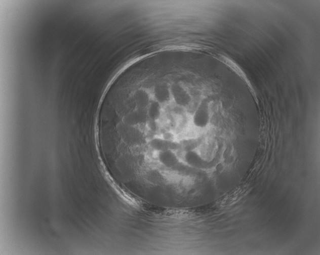 X0000072520811200607290157