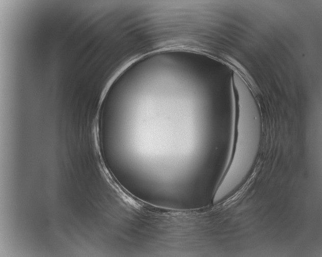 X0000072520812200607290157