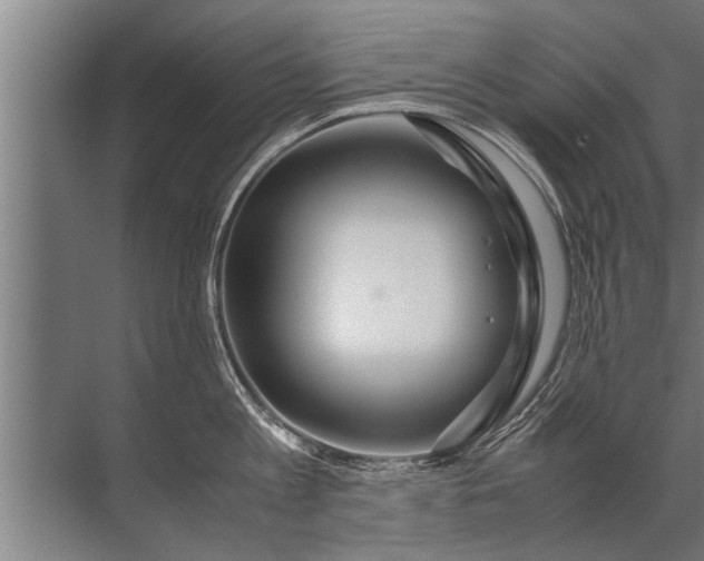 X0000072520813200607290157