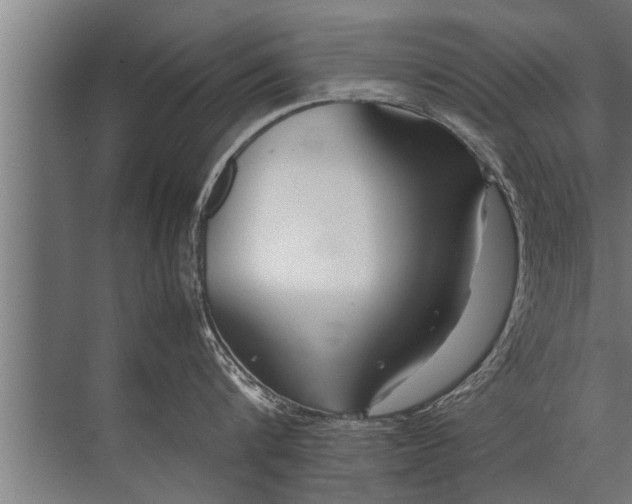 X0000072520816200607290156