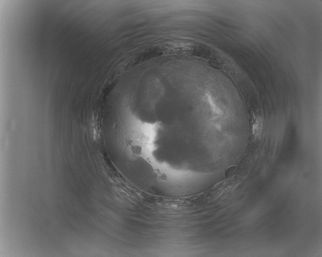 X0000072520819200607290156