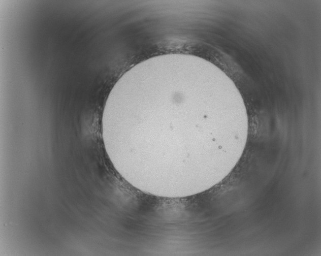 X0000072520820200607290156