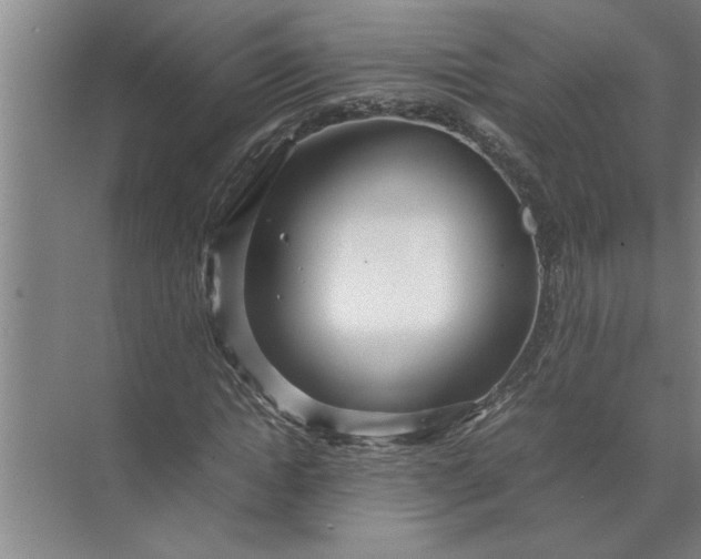 X0000072520822200607290156