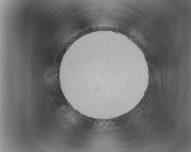 X0000072520824200607290156