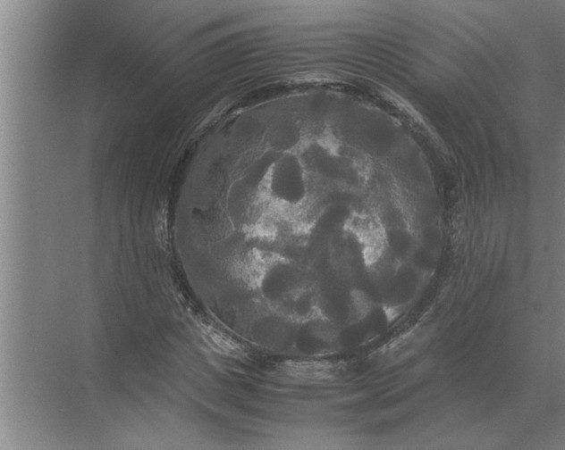 X0000072520825200607290156