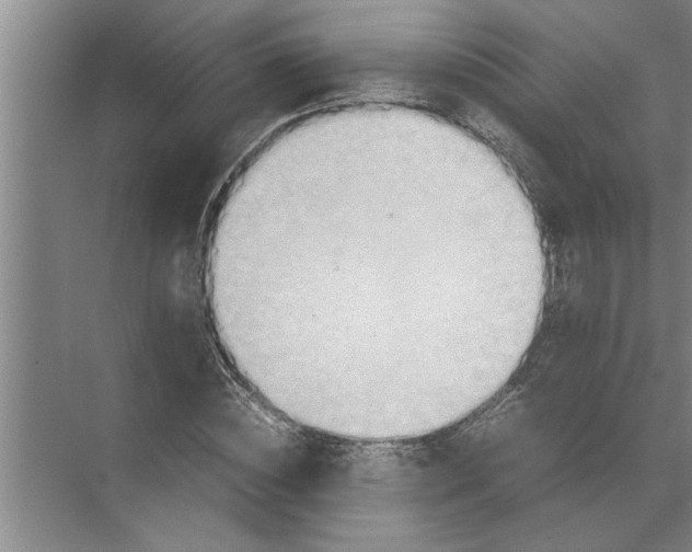 X0000072520828200607290156