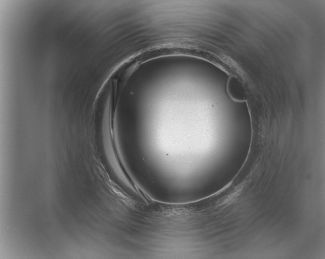 X0000072520830200607290156