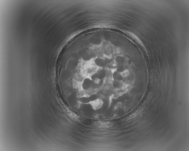 X0000072520831200607290156