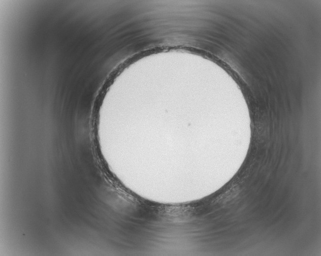 X0000072520832200607290156