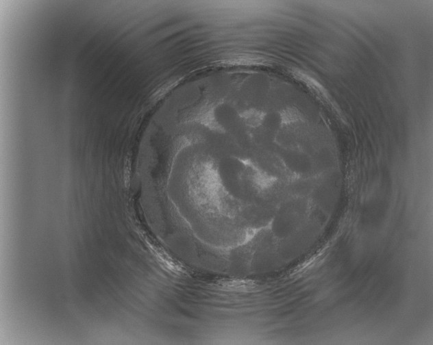 X0000072520833200607290156