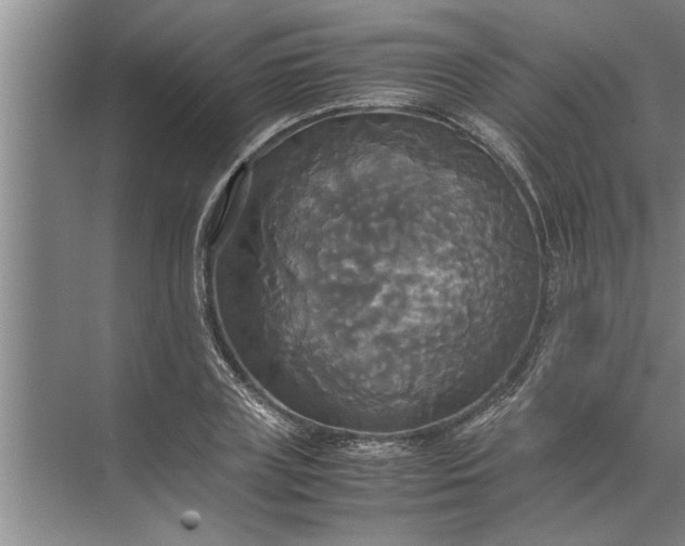 X0000072520835200607290156