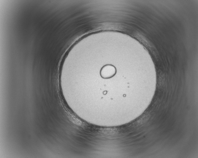 X0000072520836200607290156