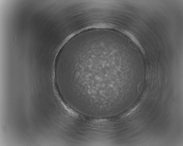 X0000072520837200607290156