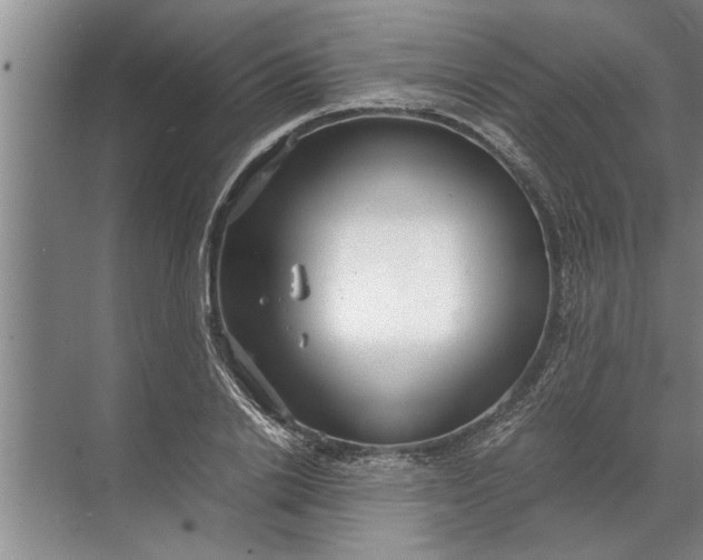 X0000072520838200607290156