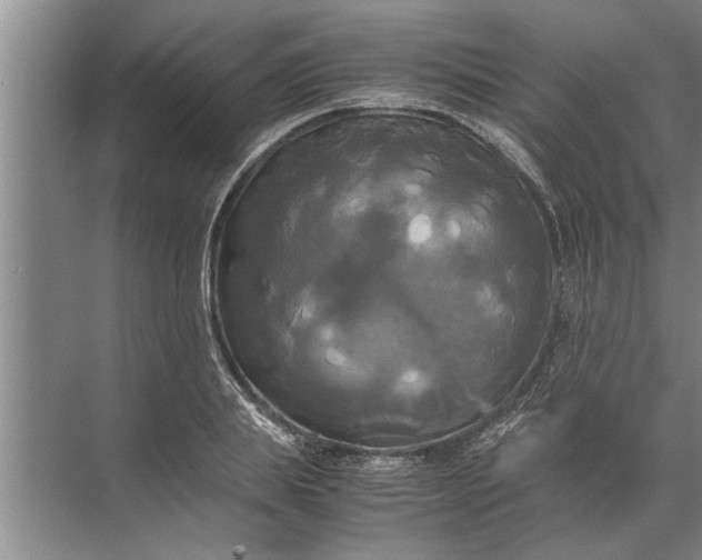 X0000072520839200607290156