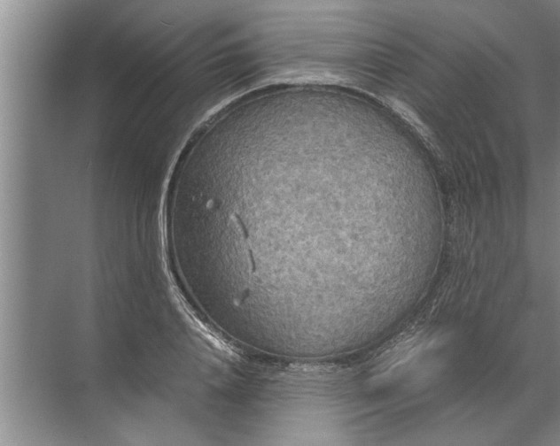 X0000072520840200607290156