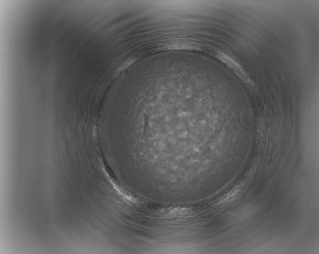 X0000072520841200607290156