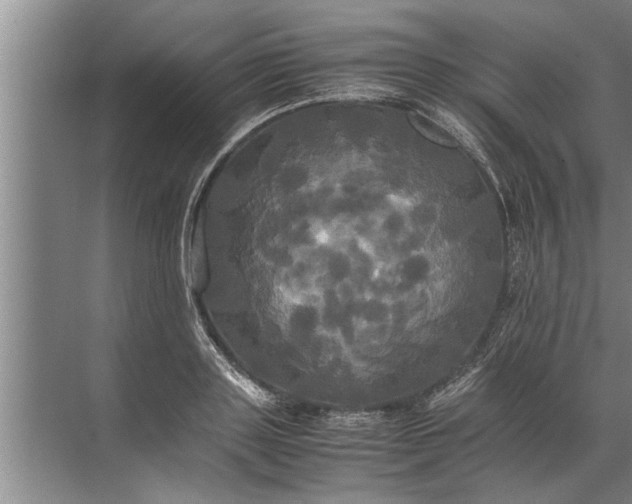 X0000072520843200607290156