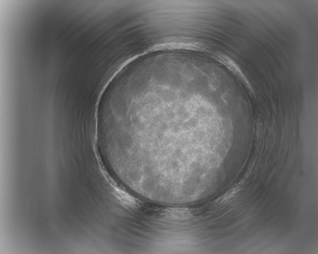 X0000072520844200607290156