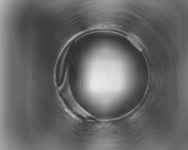 X0000072520846200607290156