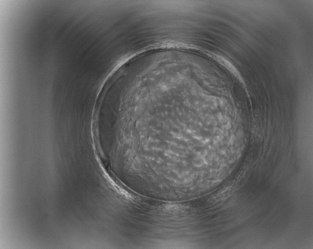 X0000072520847200607290156