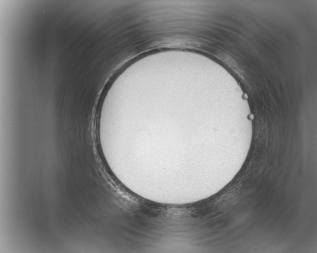 X0000072520848200607290156