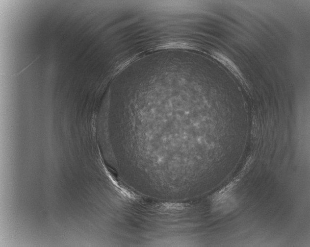 X0000072520849200607290156