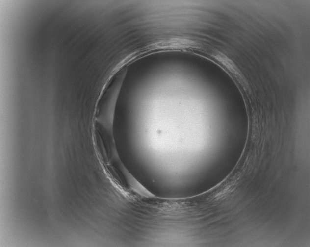 X0000072520850200607290156