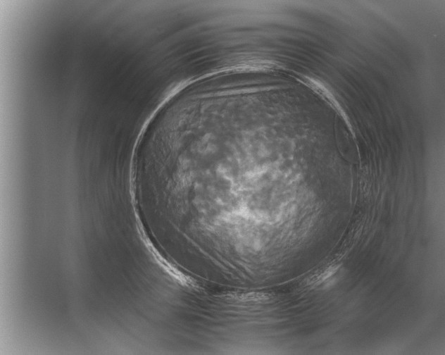 X0000072520851200607290156