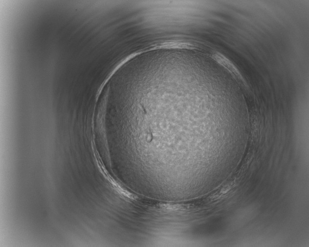 X0000072520852200607290156