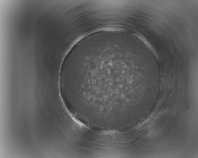 X0000072520853200607290156