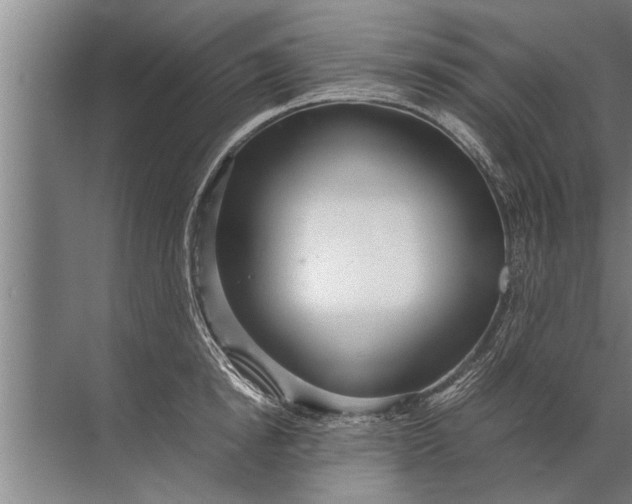 X0000072520854200607290156