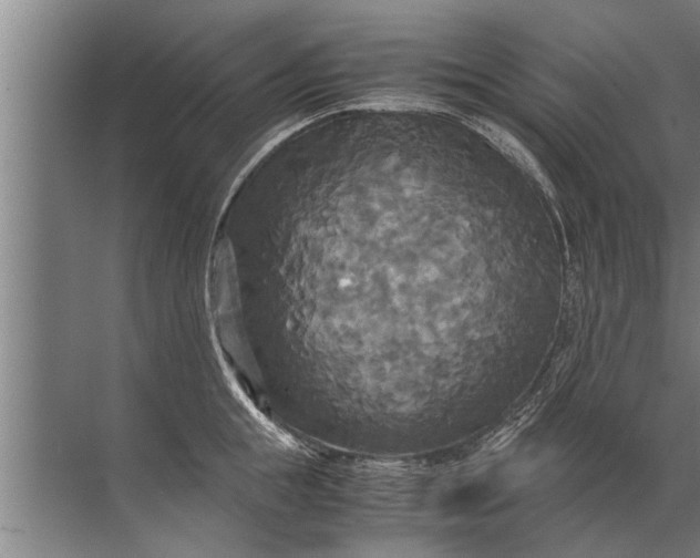 X0000072520855200607290156