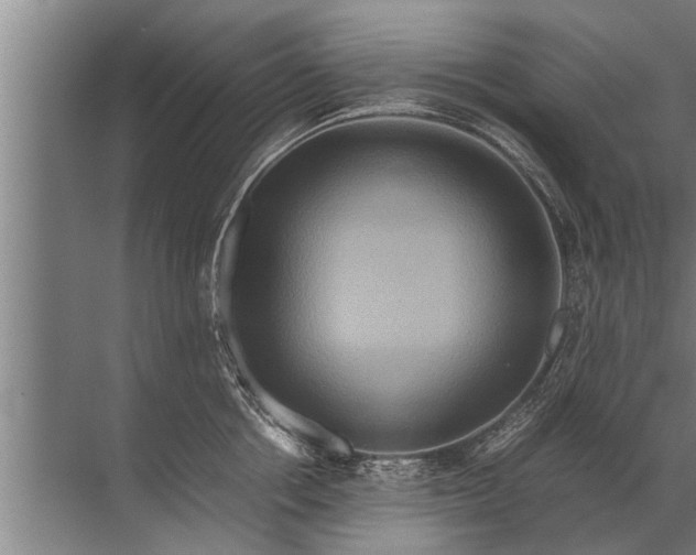 X0000072520858200607290156