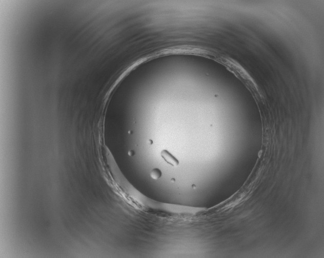 X0000072520860200607290156