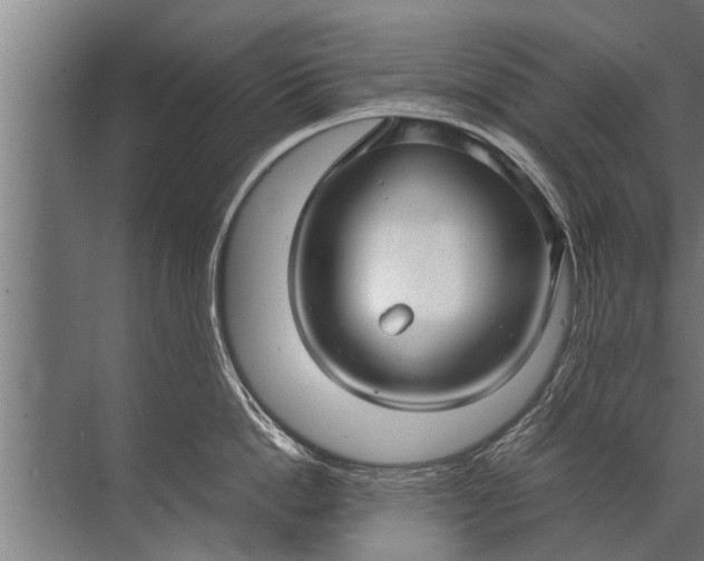 X0000072520862200607290156