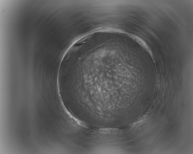 X0000072520863200607290156