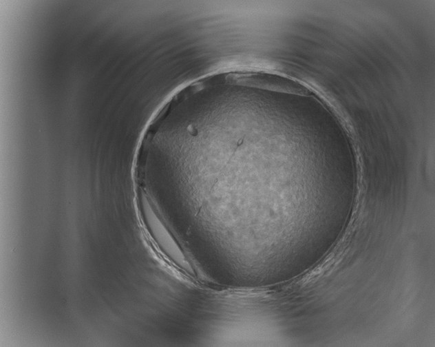 X0000072520864200607290156