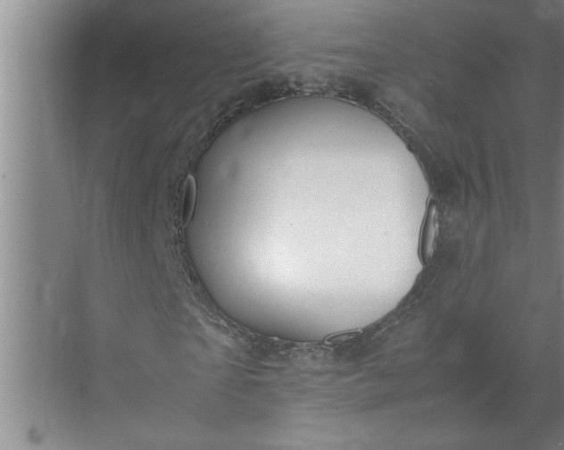 X0000072520865200607290156