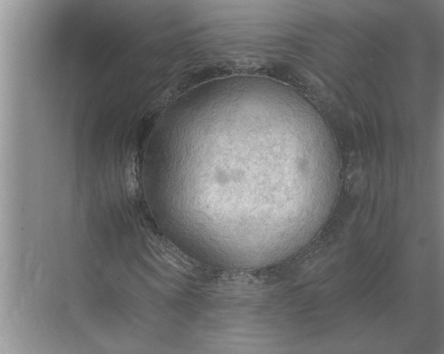 X0000072520866200607290156