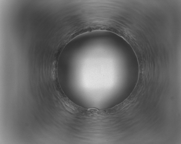 X0000072520868200607290156