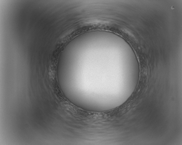 X0000072520869200607290156