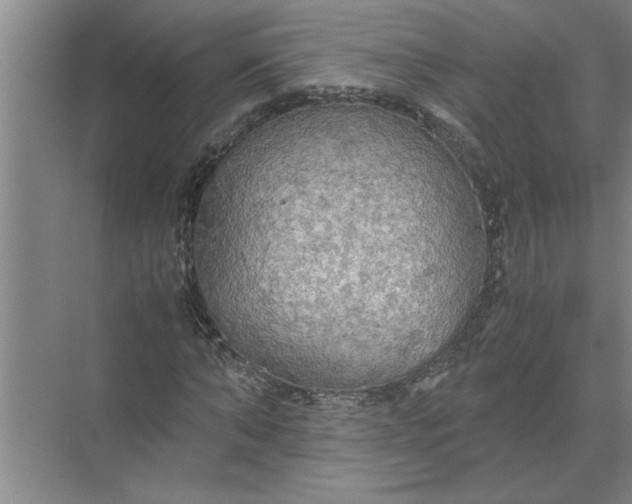 X0000072520870200607290156